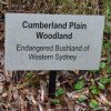 Cumberland Plain Bushland, Australian Botanic Gardens, Mt Annan